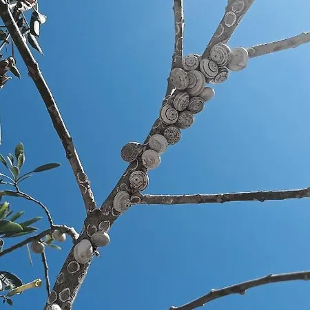 Sol34 Torrevieja