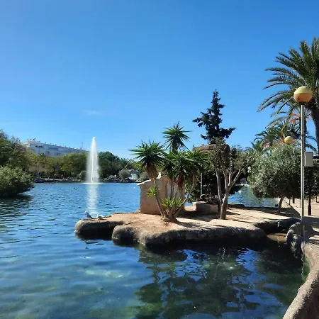 Sol34 * Торевьиа