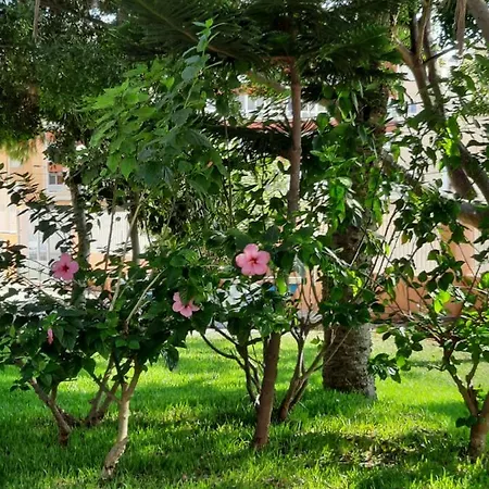 Sol34 Апартаменты Торевьиа